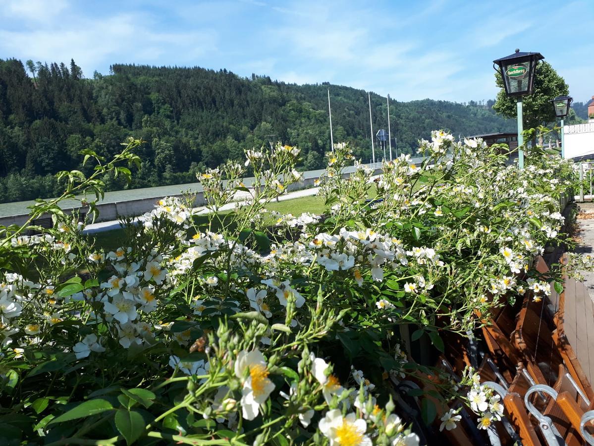 Gasthof Alte Schiffspost Hotell Obernzell Eksteriør bilde